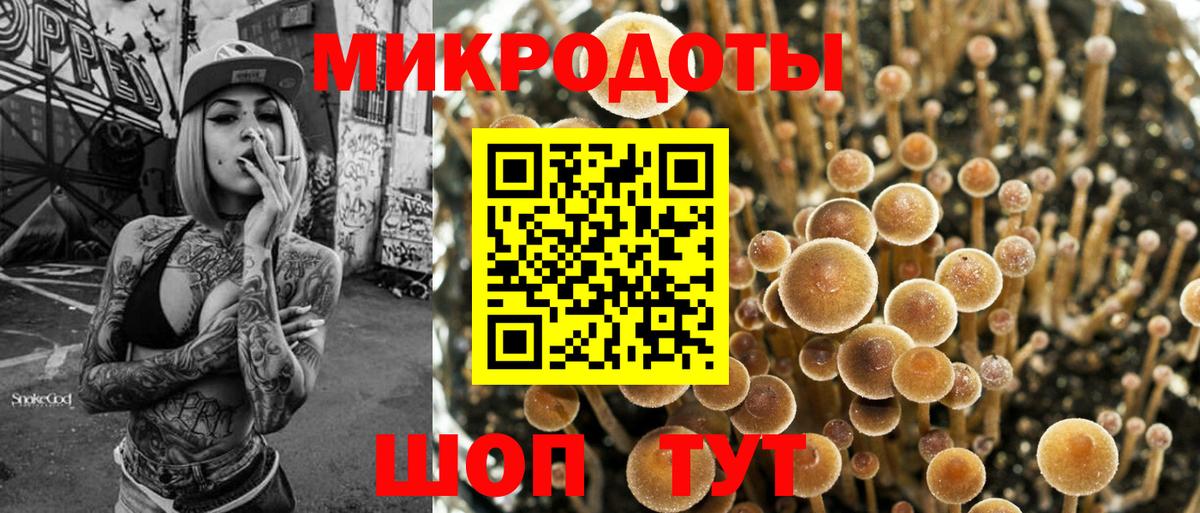 Псилоцибиновые грибы ЛСД  магазин  наркотиков  Великий Новгород  Вход с VPN 